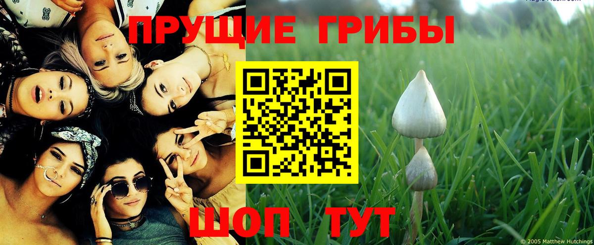 Псилоцибиновые грибы Magic Shrooms  Псилоцибиновые грибы GOLDEN TEACHER  купить  сайты  Вход с VPN  Алушта 